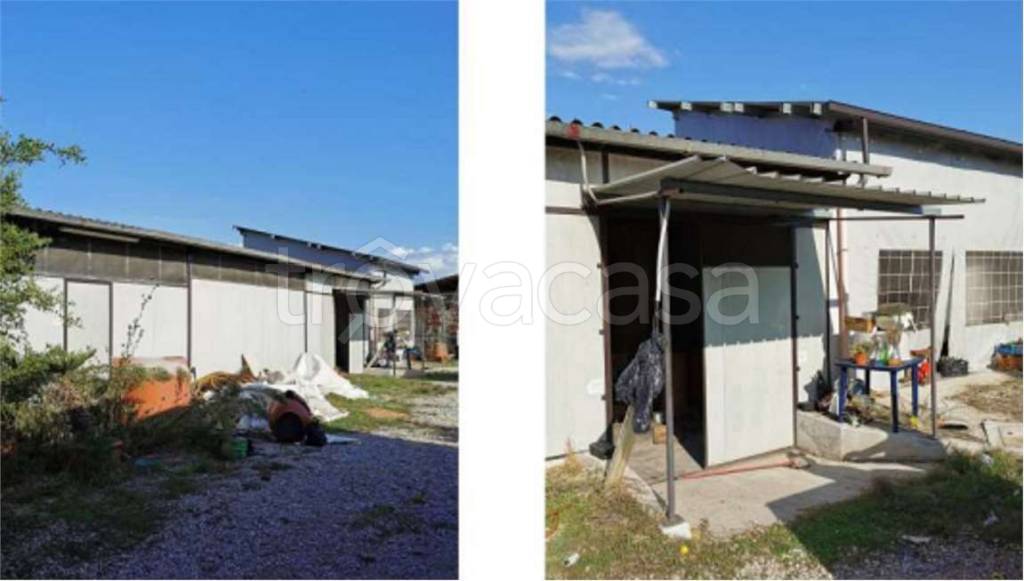 immagine annuncio 3 di 8