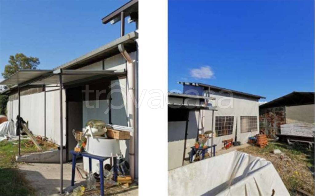 immagine annuncio 4 di 8