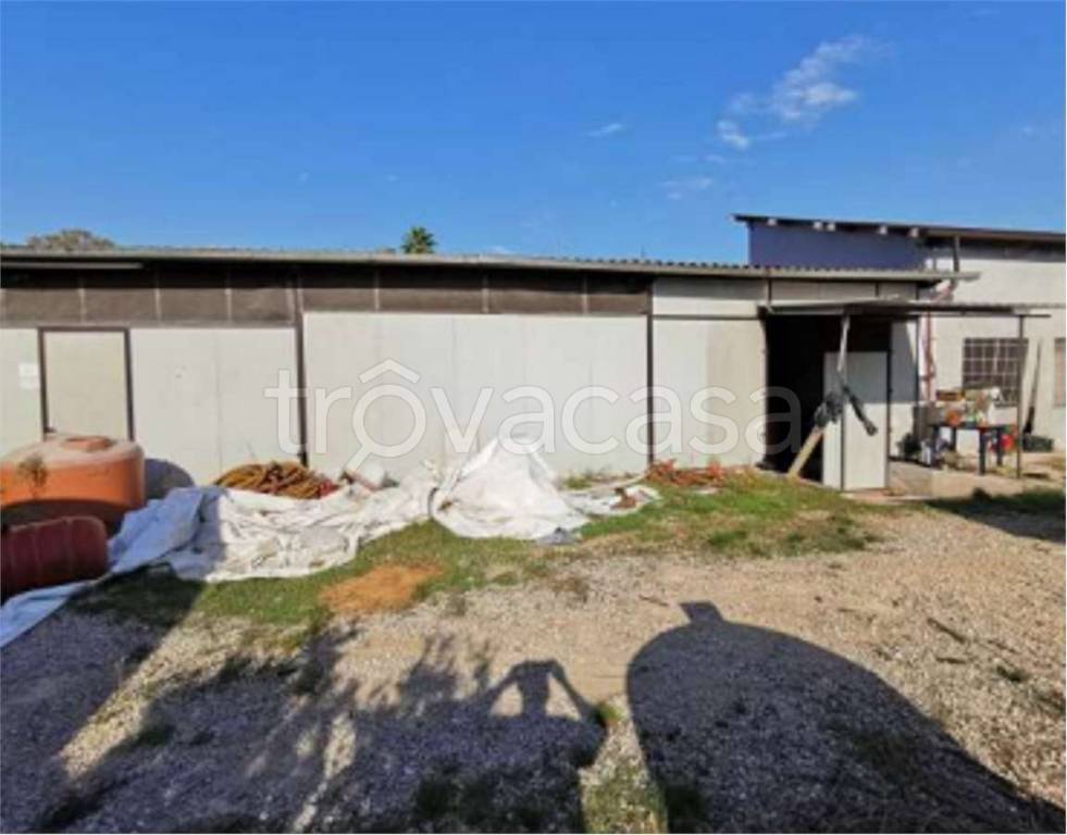 immagine annuncio 6 di 8