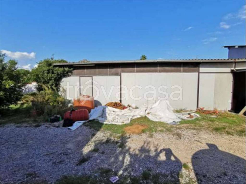 immagine annuncio 7 di 8