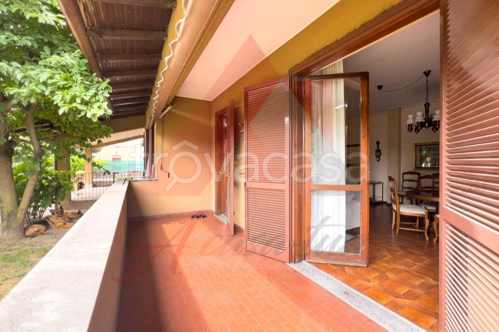 immagine annuncio 3 di 15