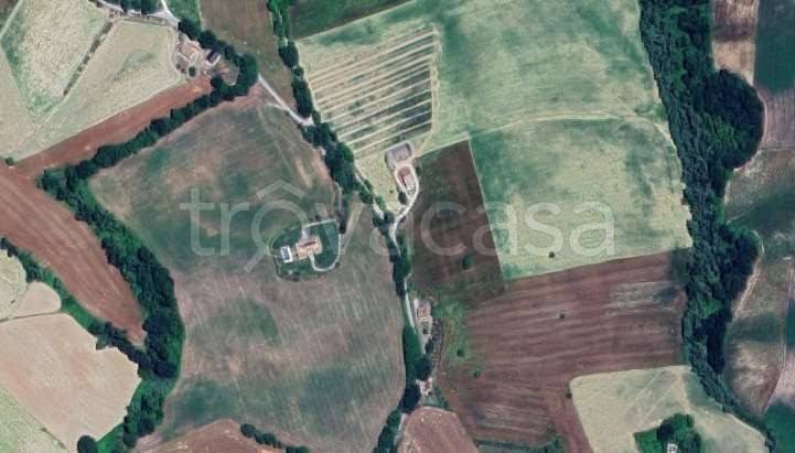 immagine annuncio 5 di 8