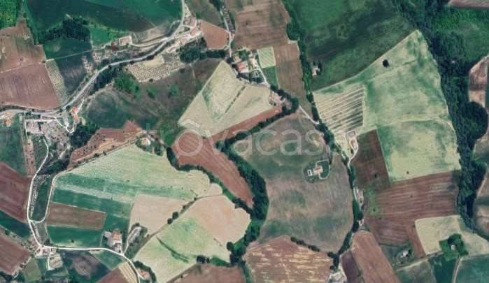 immagine annuncio 6 di 8