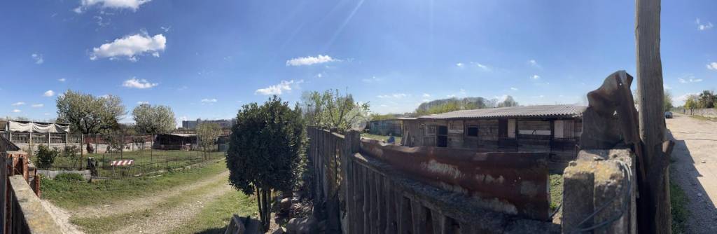 immagine annuncio 3 di 13