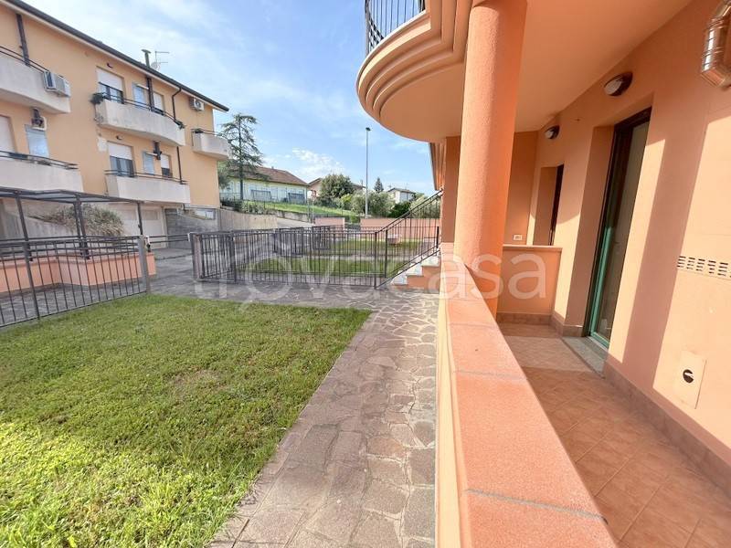 immagine annuncio 6 di 15