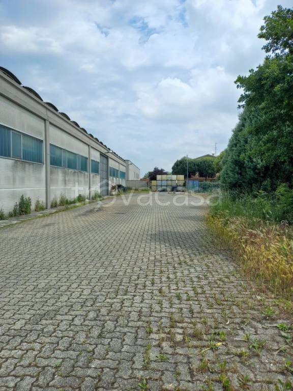 immagine annuncio 2 di 15