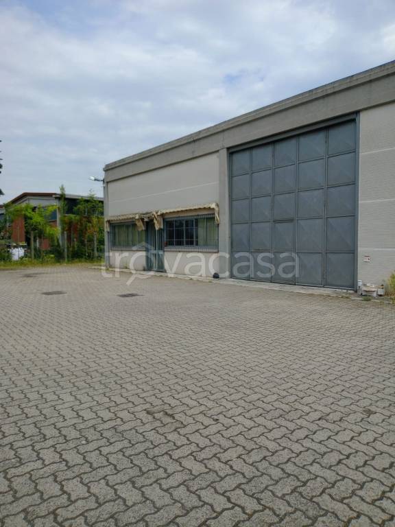 immagine annuncio 4 di 15