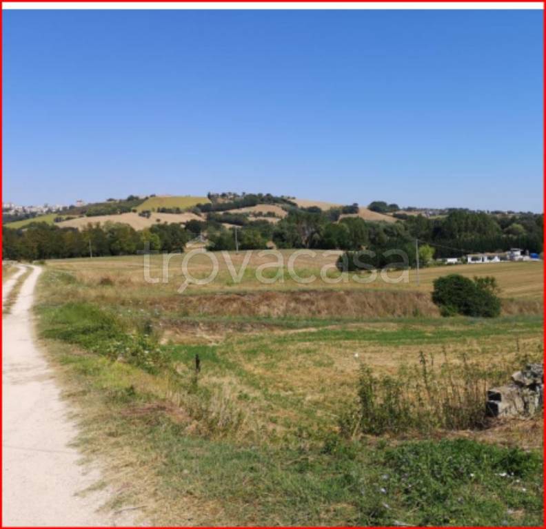 immagine annuncio 4 di 12