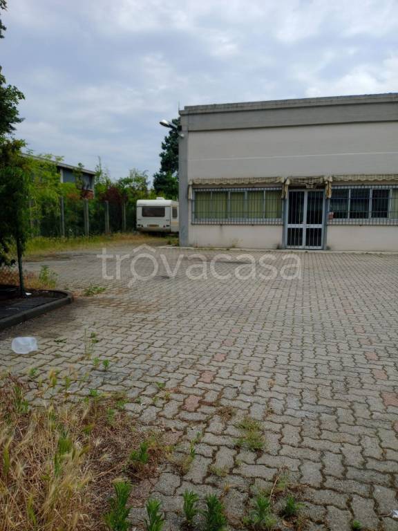 immagine annuncio 7 di 15