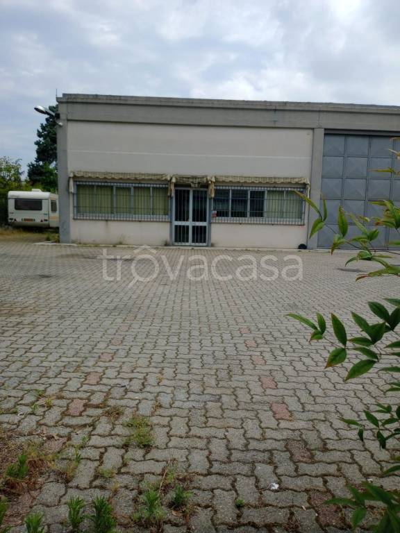 immagine annuncio 8 di 15