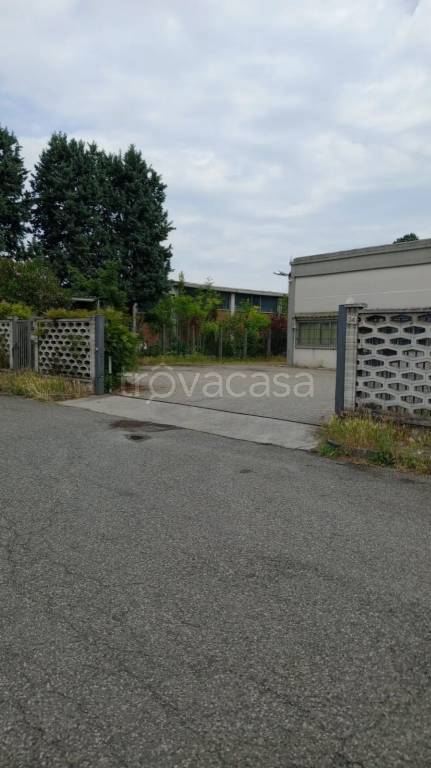 immagine annuncio 9 di 15