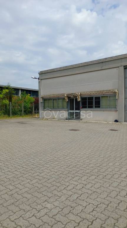 immagine annuncio 10 di 15