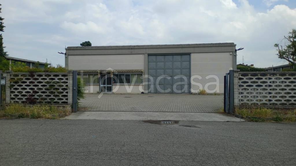 immagine annuncio 12 di 15