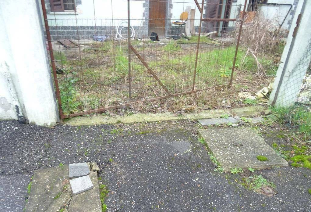 immagine annuncio 1 di 14