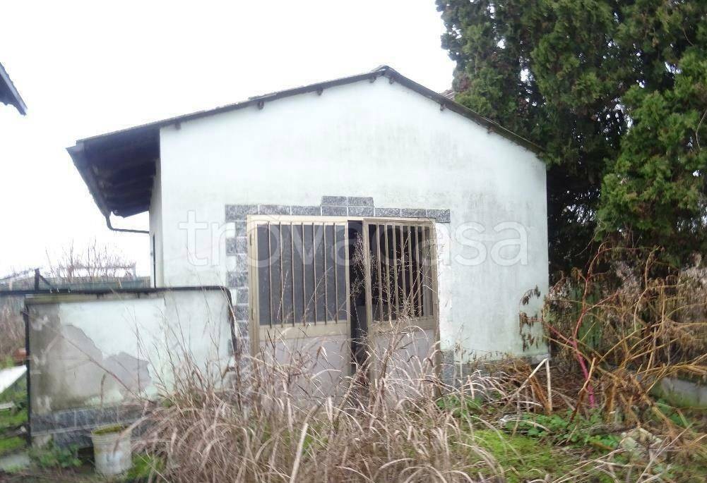 immagine annuncio 3 di 14