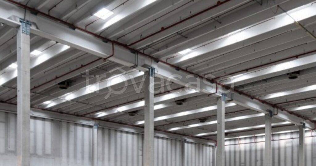 immagine annuncio 5 di 6