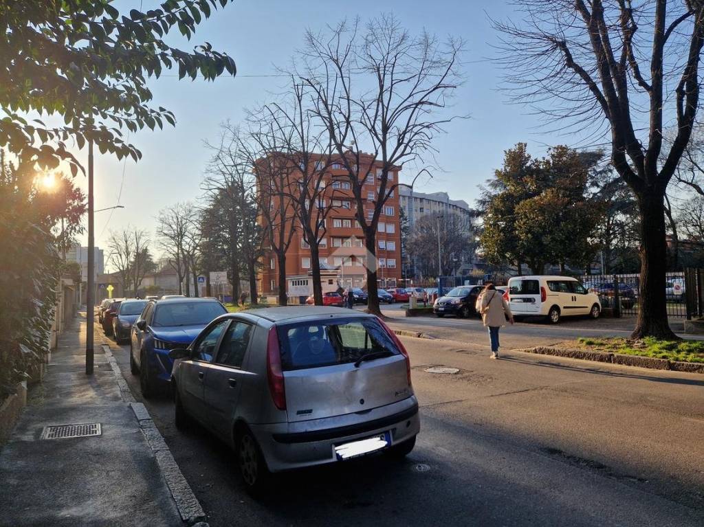 immagine annuncio 11 di 14