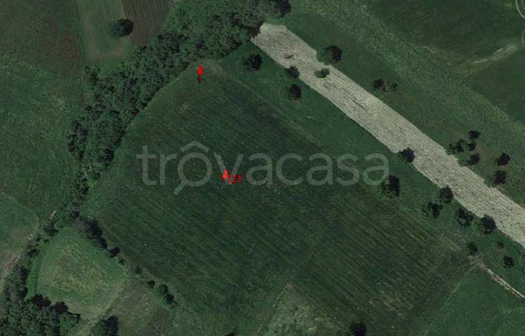 immagine annuncio 3 di 12