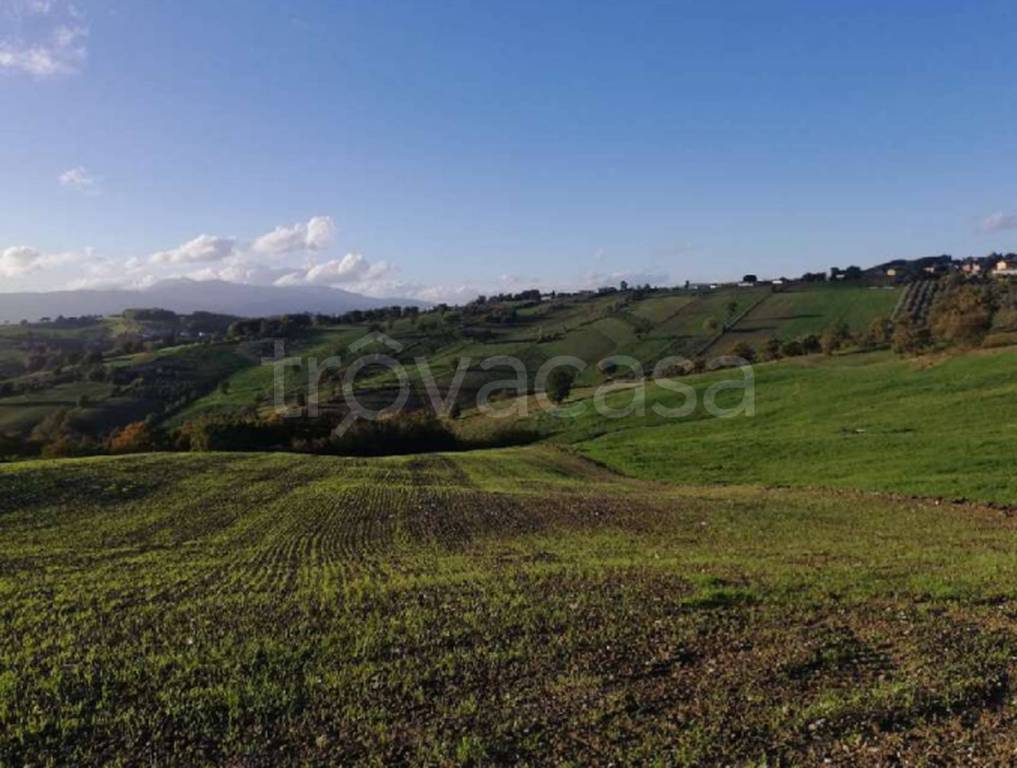 immagine annuncio 4 di 12