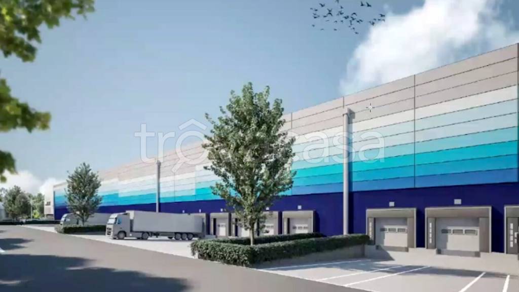 immagine annuncio 3 di 6