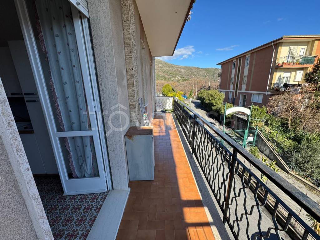 immagine annuncio 3 di 14