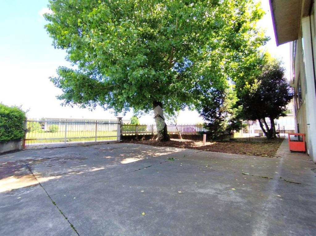 immagine annuncio 1 di 14