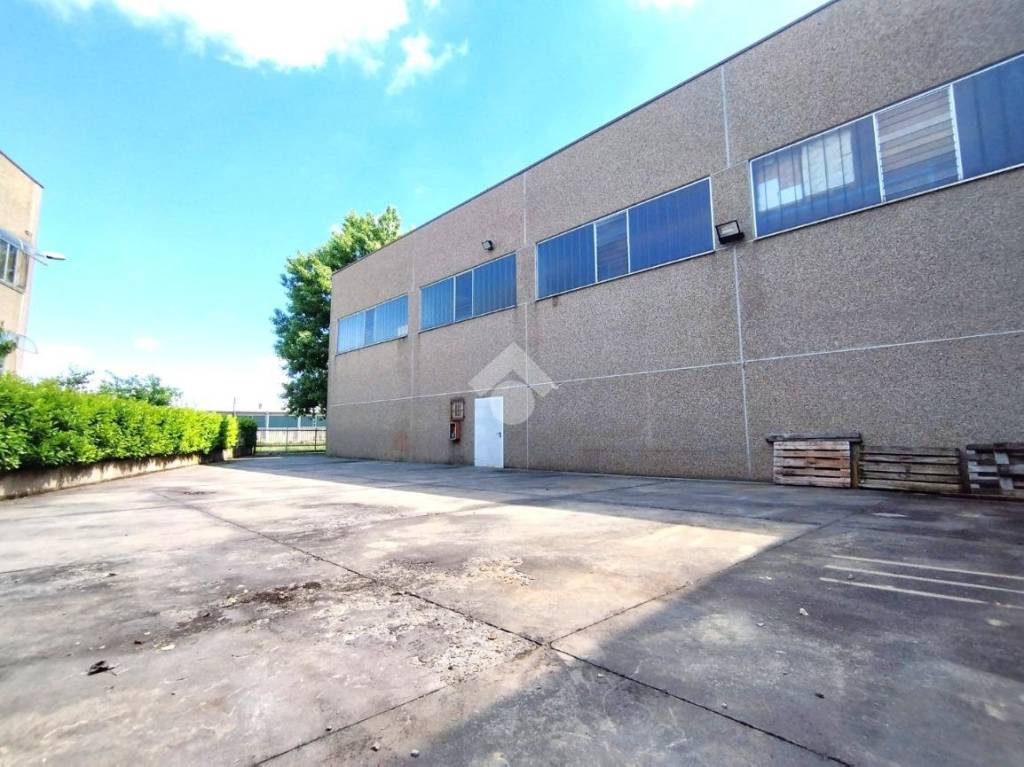 immagine annuncio 3 di 14