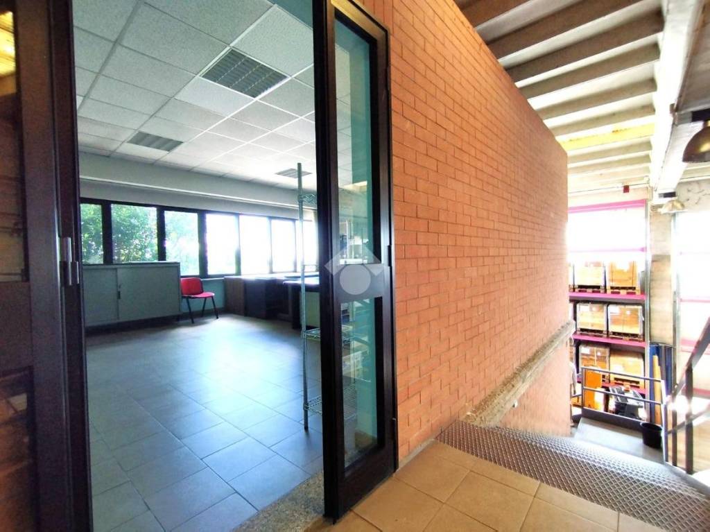 immagine annuncio 7 di 14