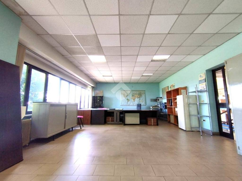 immagine annuncio 9 di 14