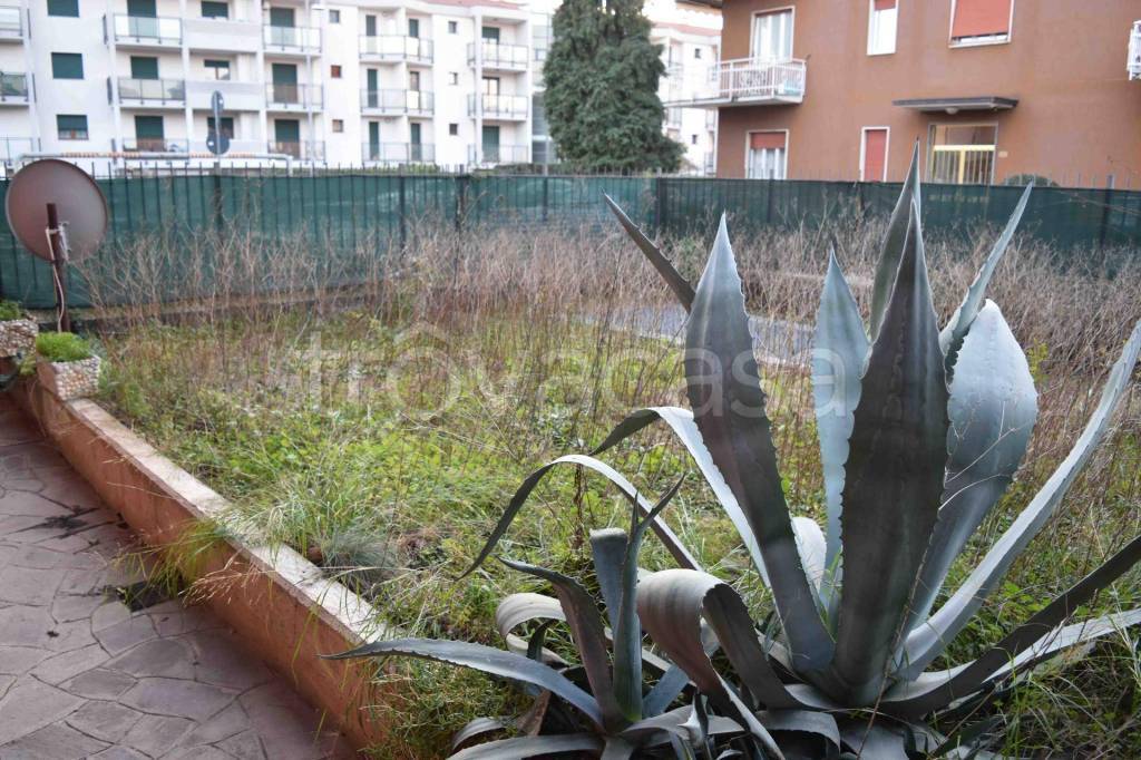 immagine annuncio 7 di 13