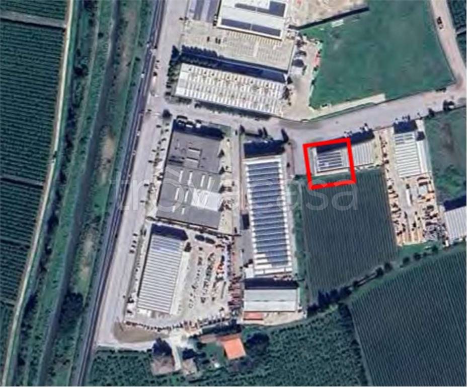 immagine annuncio 1 di 11