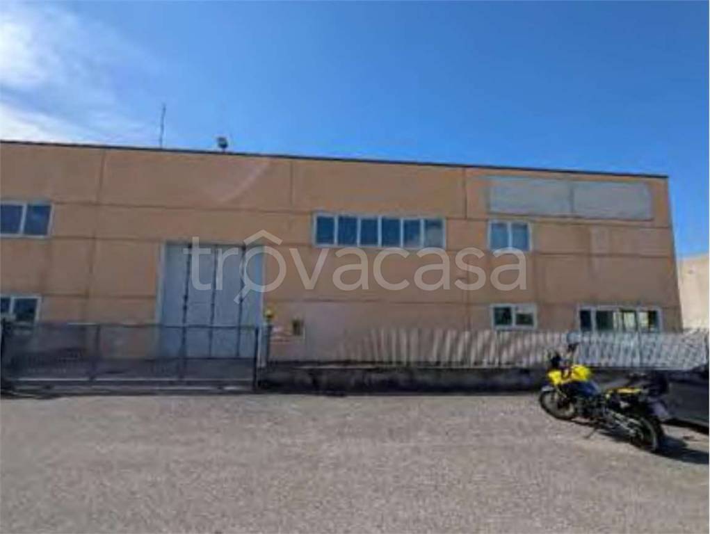 immagine annuncio 3 di 11