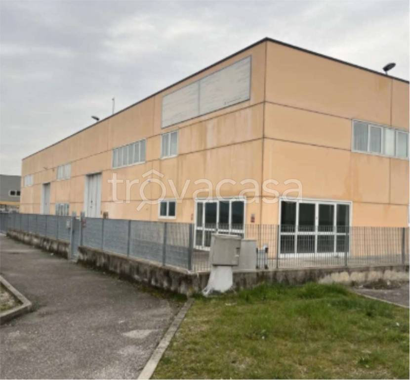 immagine annuncio 5 di 11