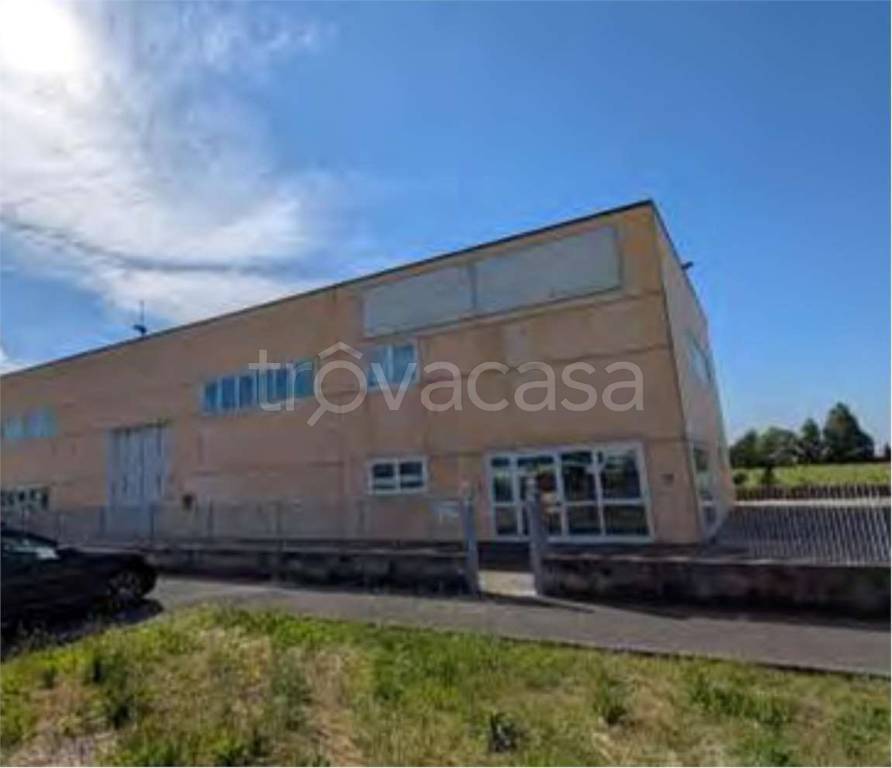 immagine annuncio 6 di 11