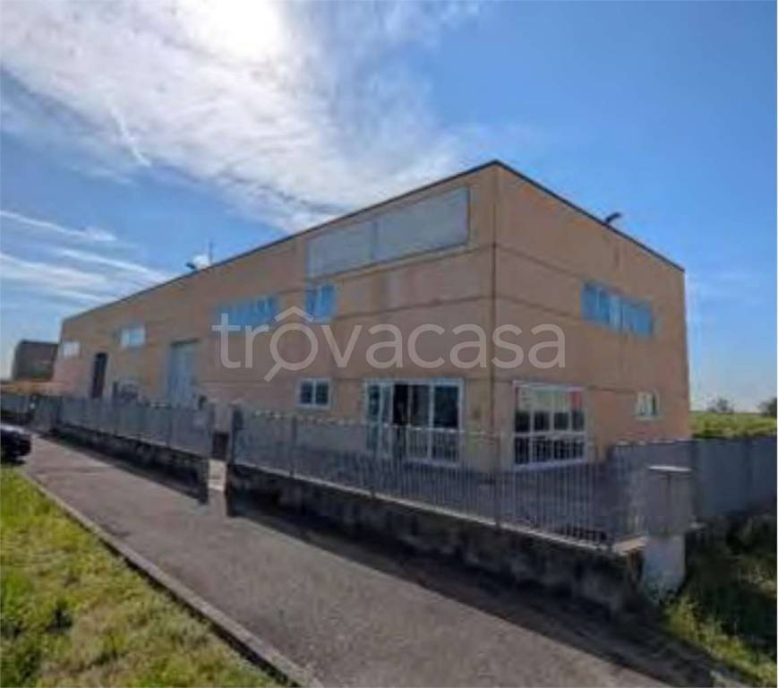 immagine annuncio 7 di 11