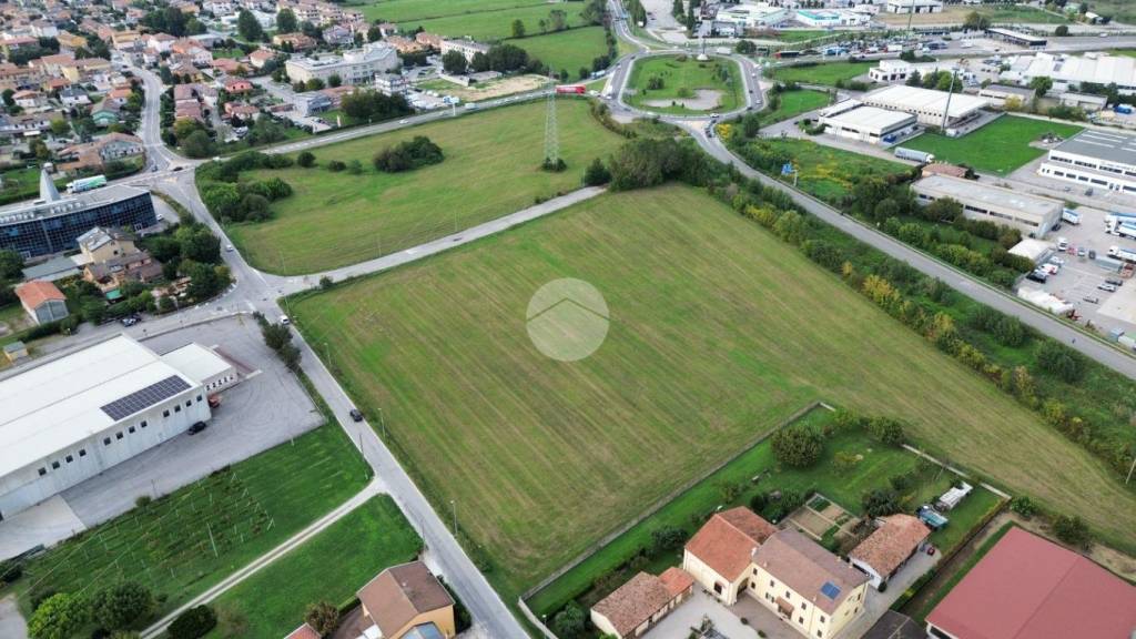 immagine annuncio 3 di 6