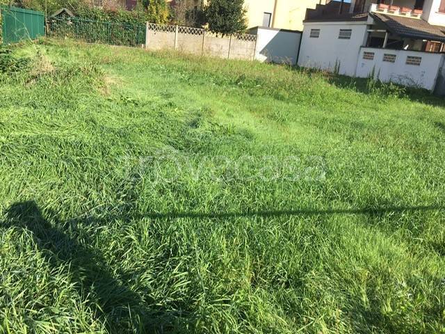 immagine annuncio 1 di 2