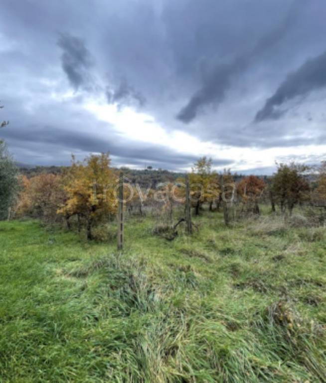 immagine annuncio 7 di 13