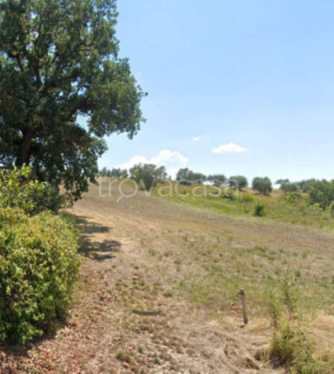 immagine annuncio 8 di 13