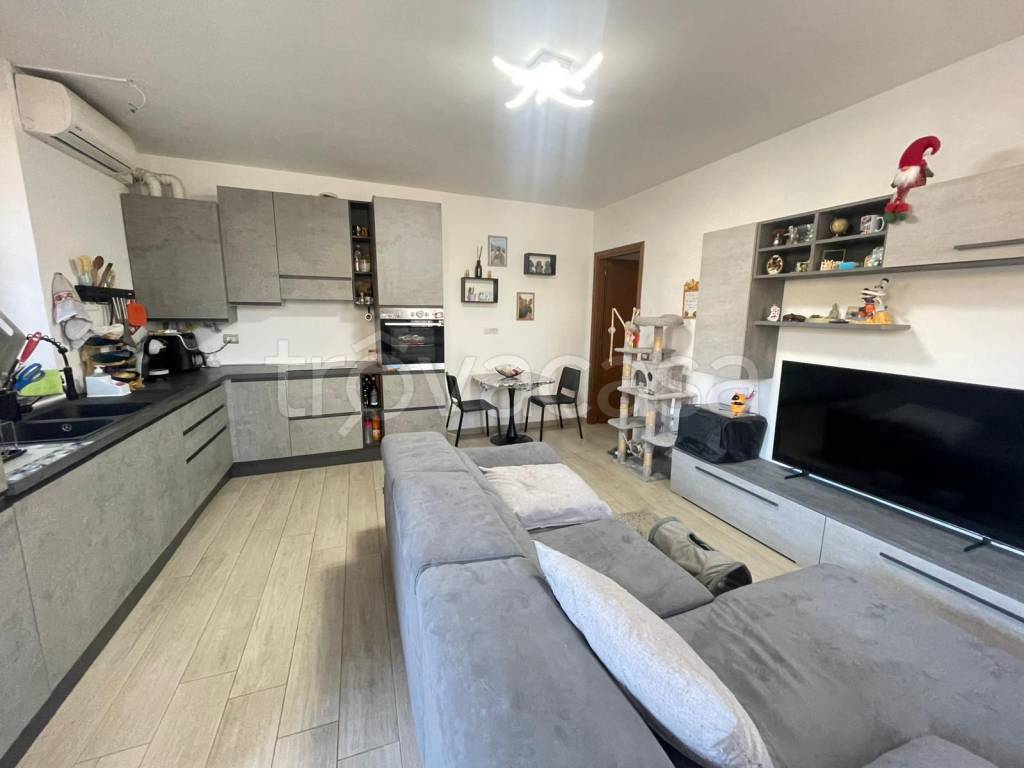 immagine annuncio 9 di 15