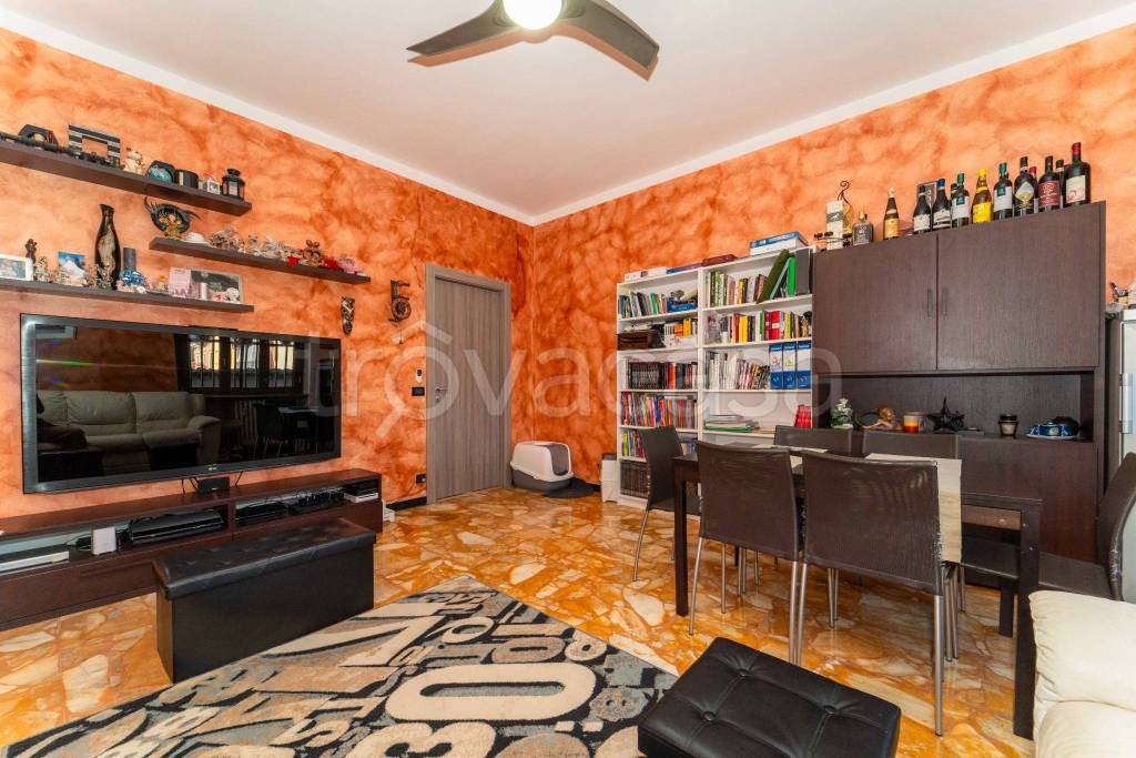 immagine annuncio 9 di 15