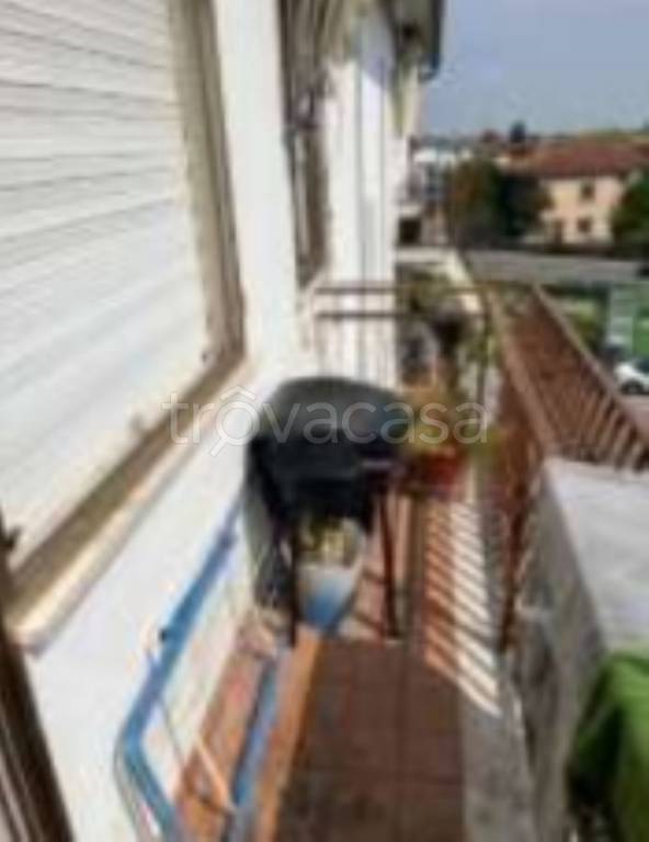 immagine annuncio 5 di 14