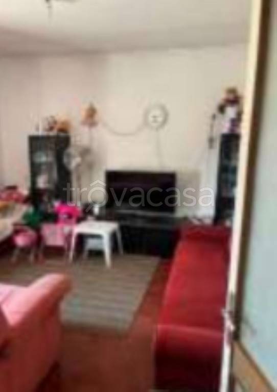 immagine annuncio 7 di 14