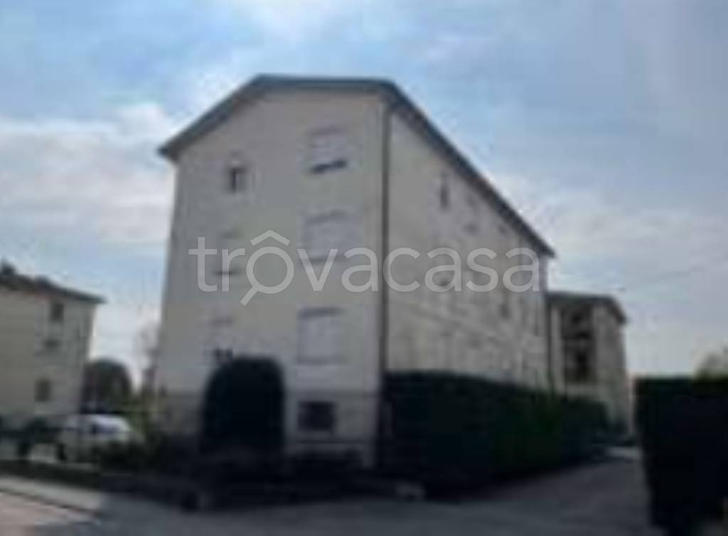 immagine annuncio 3 di 14