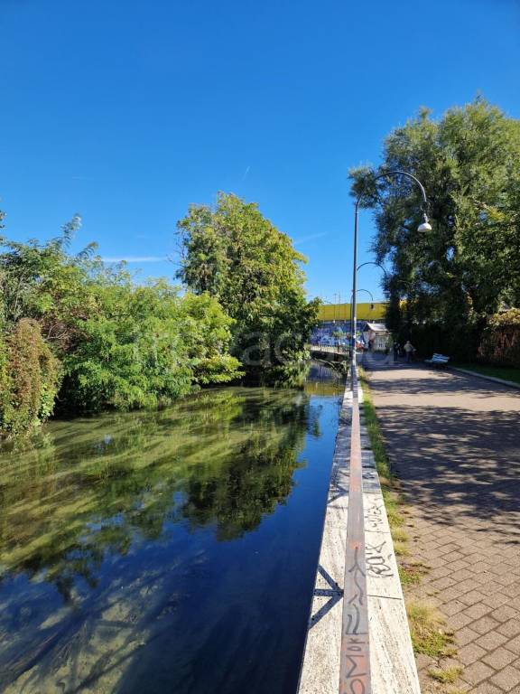 immagine annuncio 6 di 8