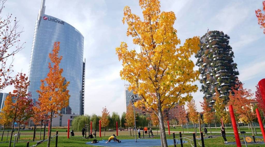 immagine annuncio 6 di 10