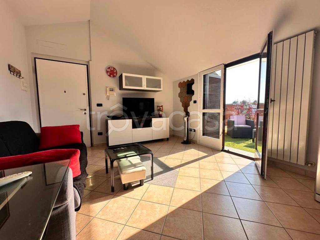 immagine annuncio 11 di 15