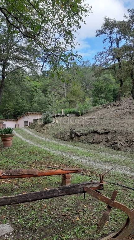 immagine annuncio 7 di 9