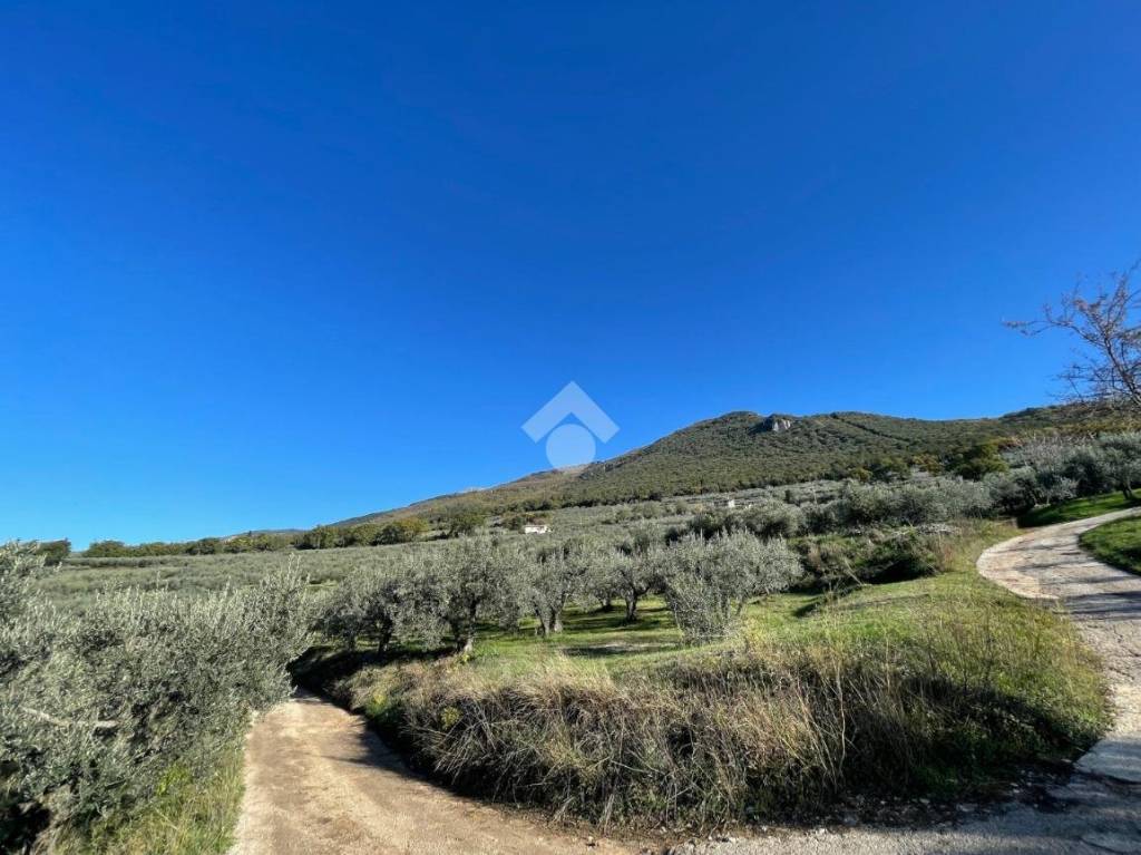 immagine annuncio 2 di 8