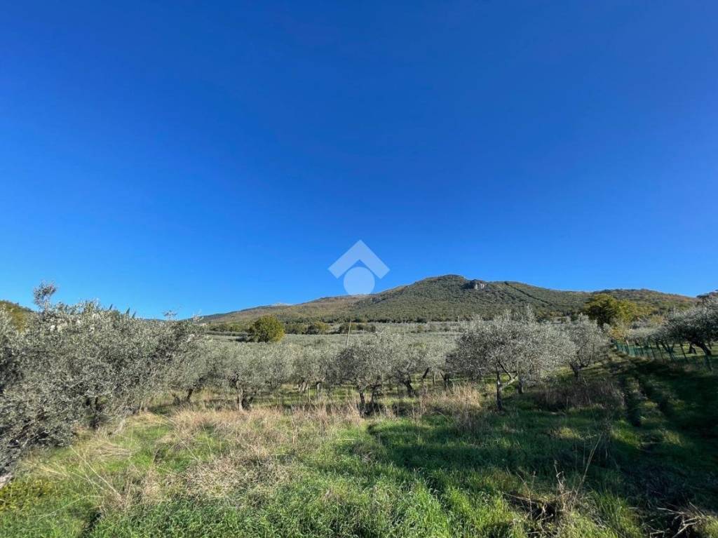 immagine annuncio 5 di 8